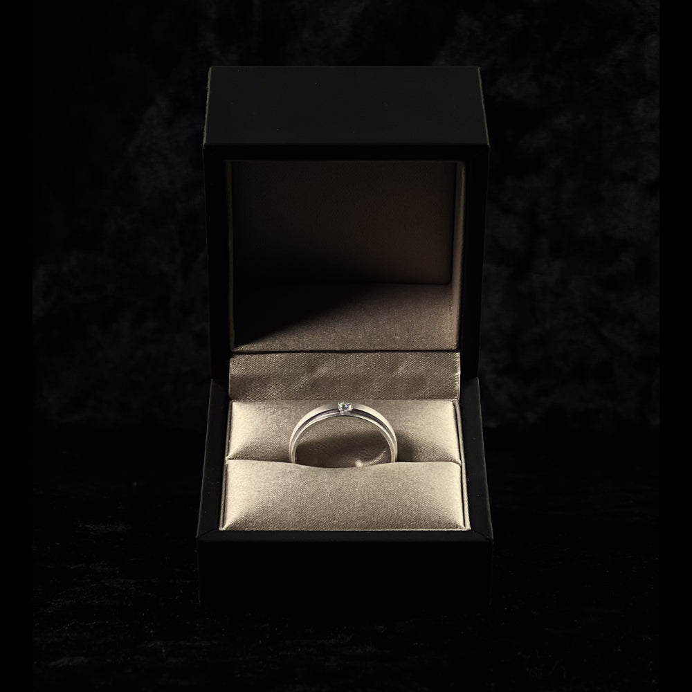 Platinum Prince Wedding Band