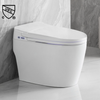 Smart One Piece Toilet