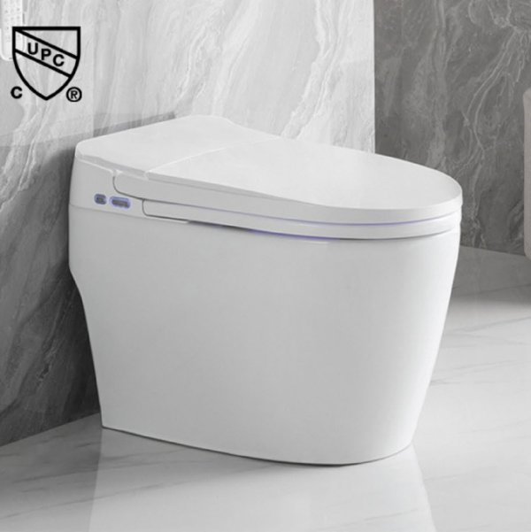 Smart One Piece Toilet